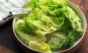 Lettuce-salad (1)